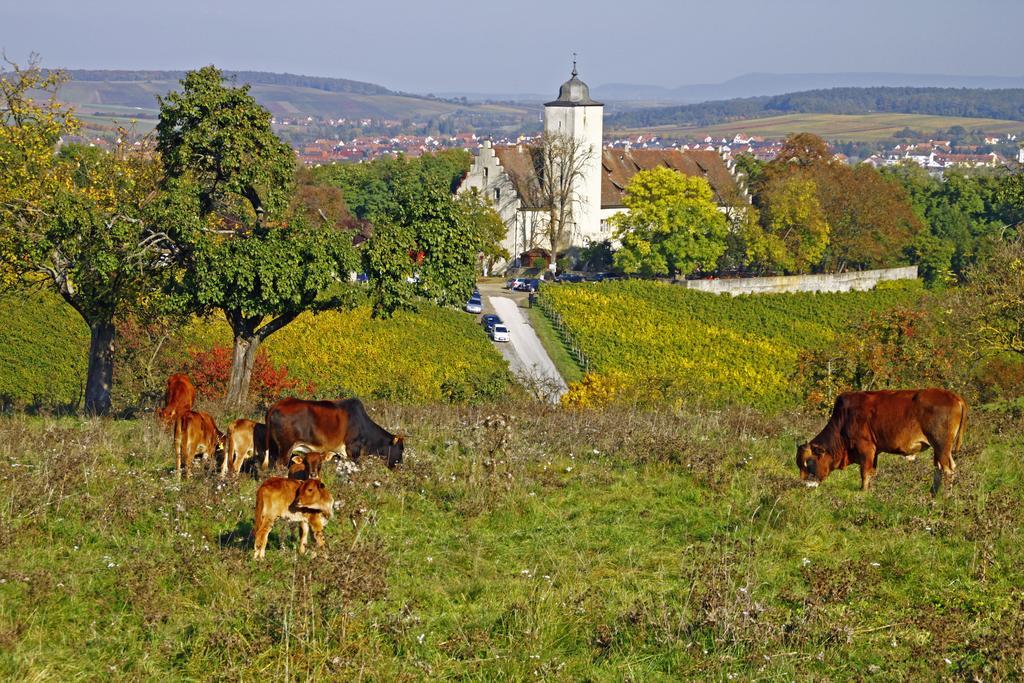 Flair-Hotel Zum Benediktiner Schwarzach am Main Εξωτερικό φωτογραφία